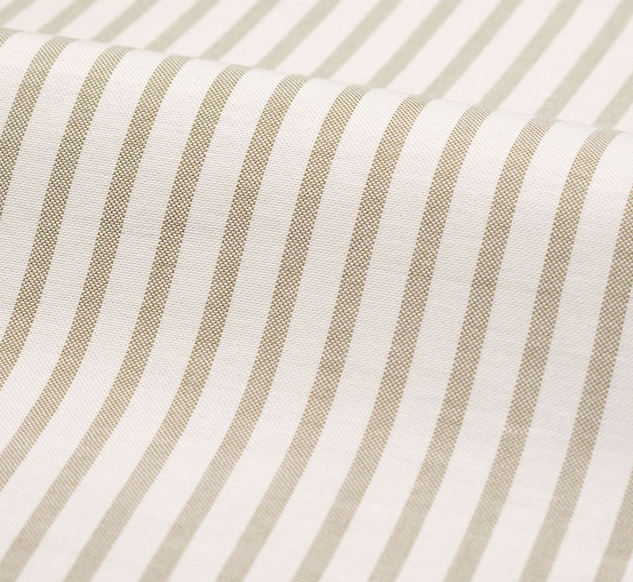 Luri, olive green