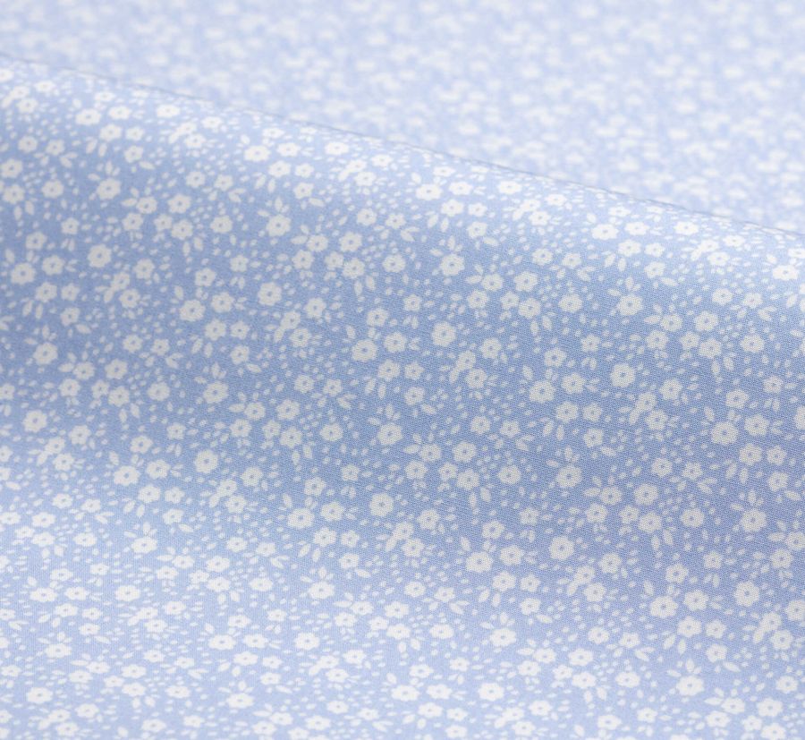 Hammonton, light blue