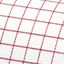 Red checked business shirt