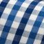 Blue Checked Business Shirt