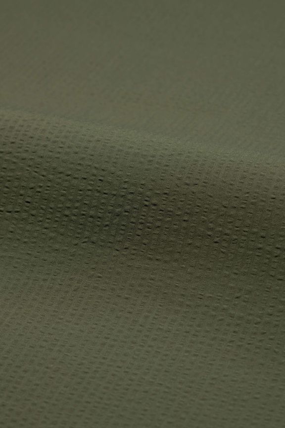 4972 - Monterosso, olive.jpg