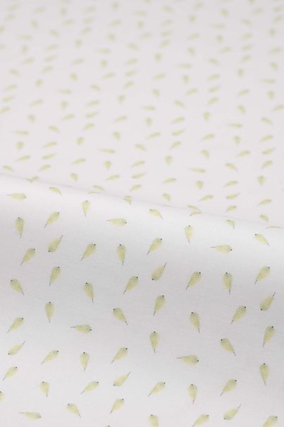 Chemise en popeline avec motifs de poires<br>