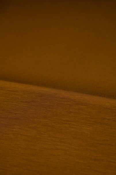 Dark camel long sleeve Merino wool T-shirt