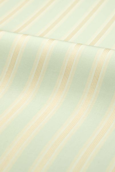 Pale green striped shirt