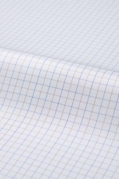 Blue and brown checkered shirt