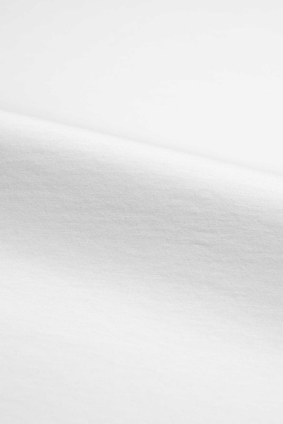 4638 - Parker, white-v3.jpg