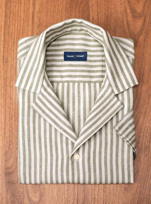 Palazzo Olive Green.jpg