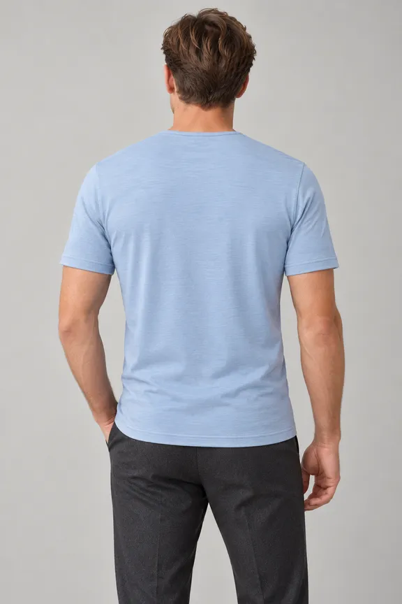 catalog/15917_tshirt_short_sleeve_crew_neck_stitched_fabric_5272_model_031_pose_002_tshirt_regular_material_merino_knit_bg_11_nopocket_untucked_e3g1h2_upper_body_back.png