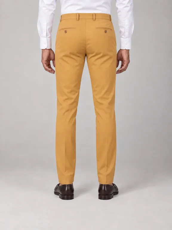 catalog/25-dayton-mustard-stretch-chinos-back.png